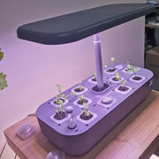 Potager d'Intérieur à Culture Hydroponique Innovant